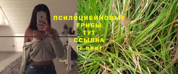 метадон Липки