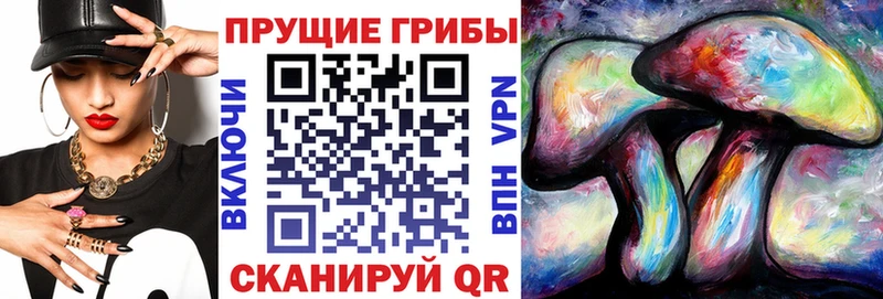Псилоцибиновые грибы Magic Shrooms  Электросталь 